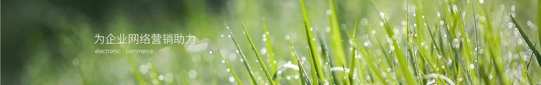 ZĤṹ޹˾